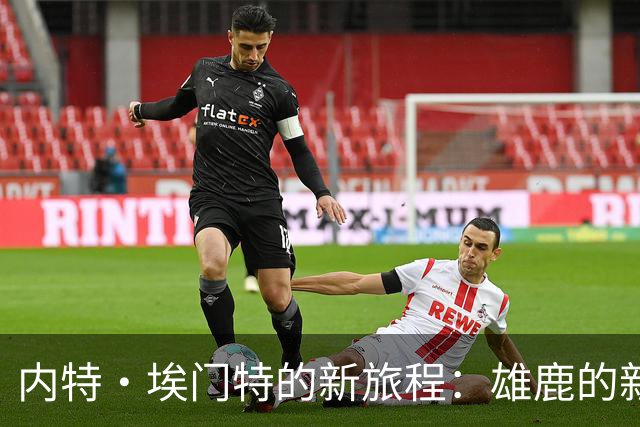 内特·埃门特的新旅程：雄鹿的新鲜血液正式上岗！