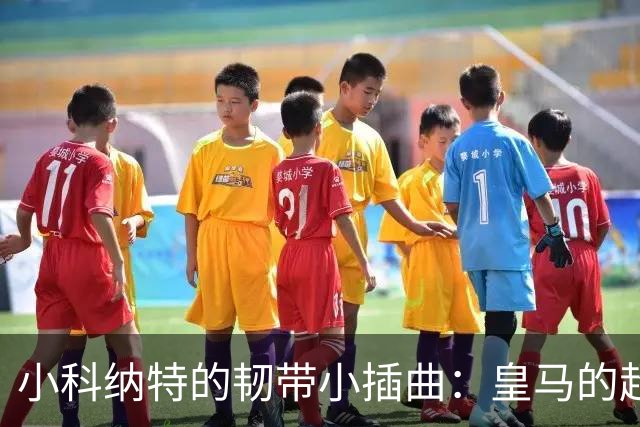 小科纳特的韧带小插曲：皇马的超级守护神暂时“隐身